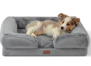 Calming Dog Beds